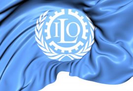 ilo_bayrak ilo_bayrak