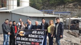 soma301 soma301